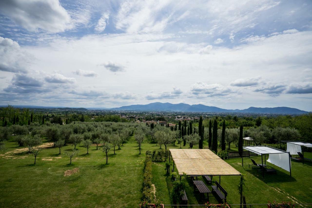 Accogliente Alloggio Con Vista E Piscina Lucca Exterior photo